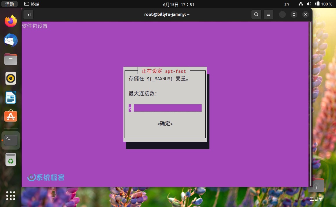 设置 APT-Fast 最大连接数