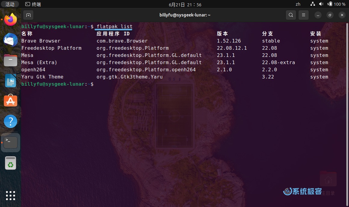 列出已安装的 Flatpak 软件包