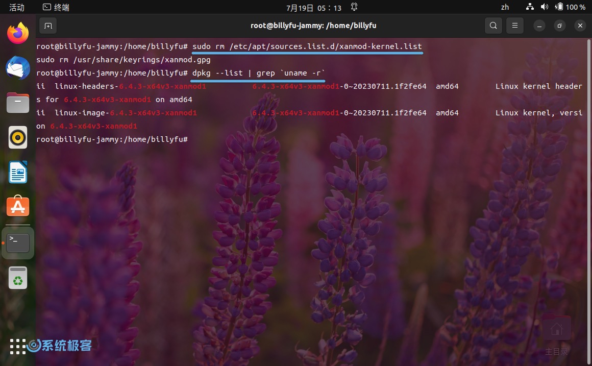 在 Ubuntu 中查看所有已安装的 XanMod 内核软件包