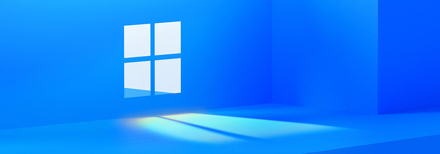 Windows 11