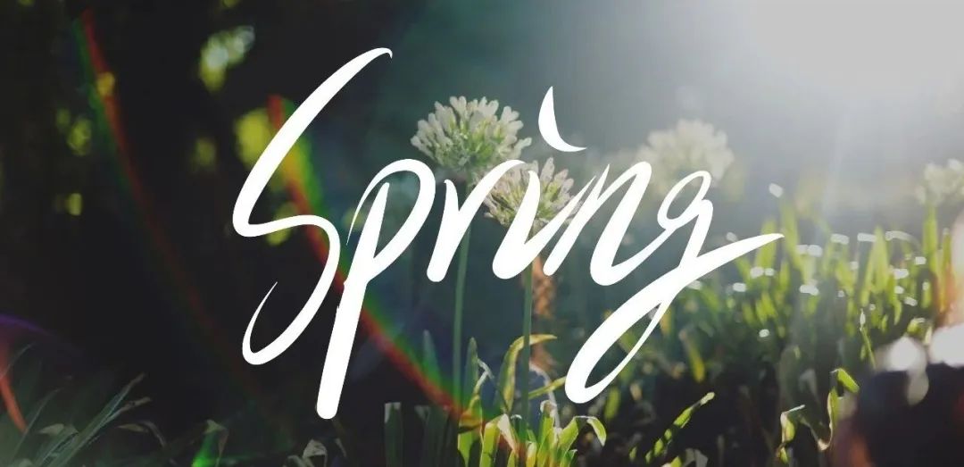 告别重复代码！Spring工具类带你飞