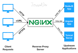 nginx中的正则表达式和location路径匹配指南