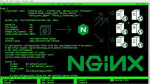 Nginx 传输媒体文件配置优化