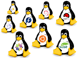 linux游戏-俄罗斯方块源码（保存为sh 文件直接运行）